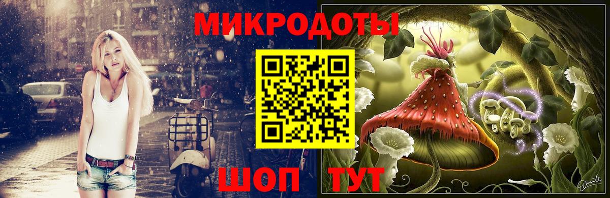 Псилоцибиновые грибы мицелий Звенигород