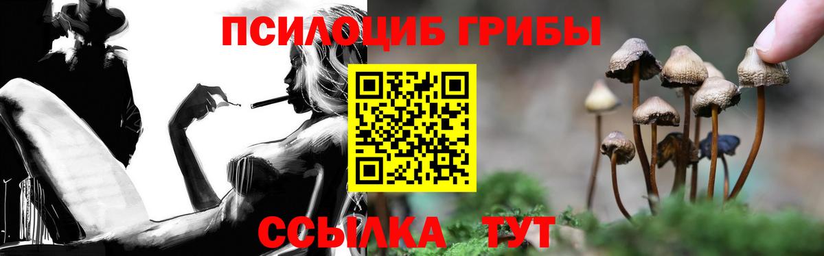 Галлюциногенные грибы MAGIC MUSHROOMS  Вход с VPN  Звенигород  Галлюциногенные грибы MAGIC MUSHROOMS 